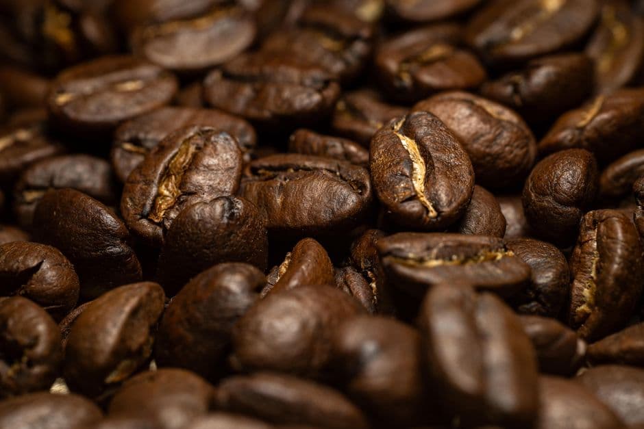 Roasted beans, close